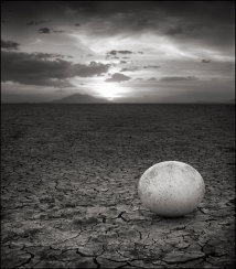 Verlassenes Straußenei | Abandoned Ostrich Egg Verlassenes Straußenei | Abandoned Ostrich Egg