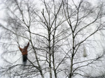 "FALLING" 2004