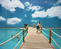 Tropical Island Tropical Island