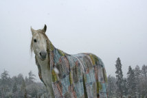 Ohne Titel, 2007