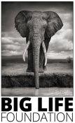 Logo Big Life Foundation Logo Big Life Foundation